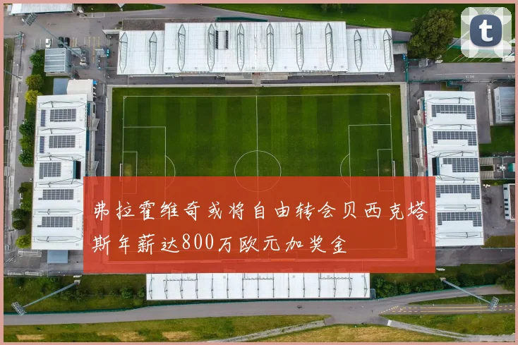 弗拉霍维奇或将自由转会贝西克塔斯年薪达800万欧元加奖金